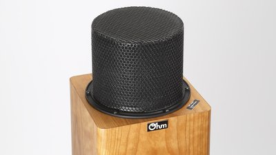 Floorstanding Speaker OHM AE 2000 Driver