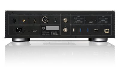The connections on the rear of the HiFi Rose RS130