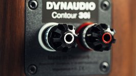 Dynaudio Contour 30i Single-Wire terminal 