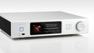The Aurender A15 is a full-on streamer and server with built-in DAC and analog outputs. 